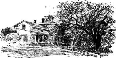 free public domain image 19 line drawing of isolated house with big tree in front yard
